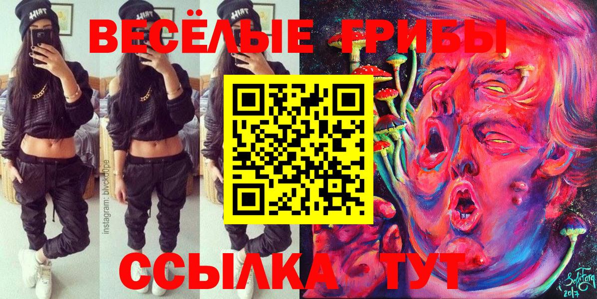 Псилоцибиновые грибы Cubensis  Галлюциногенные грибы прущие грибы  Новый Уренгой  Вход с VPN 